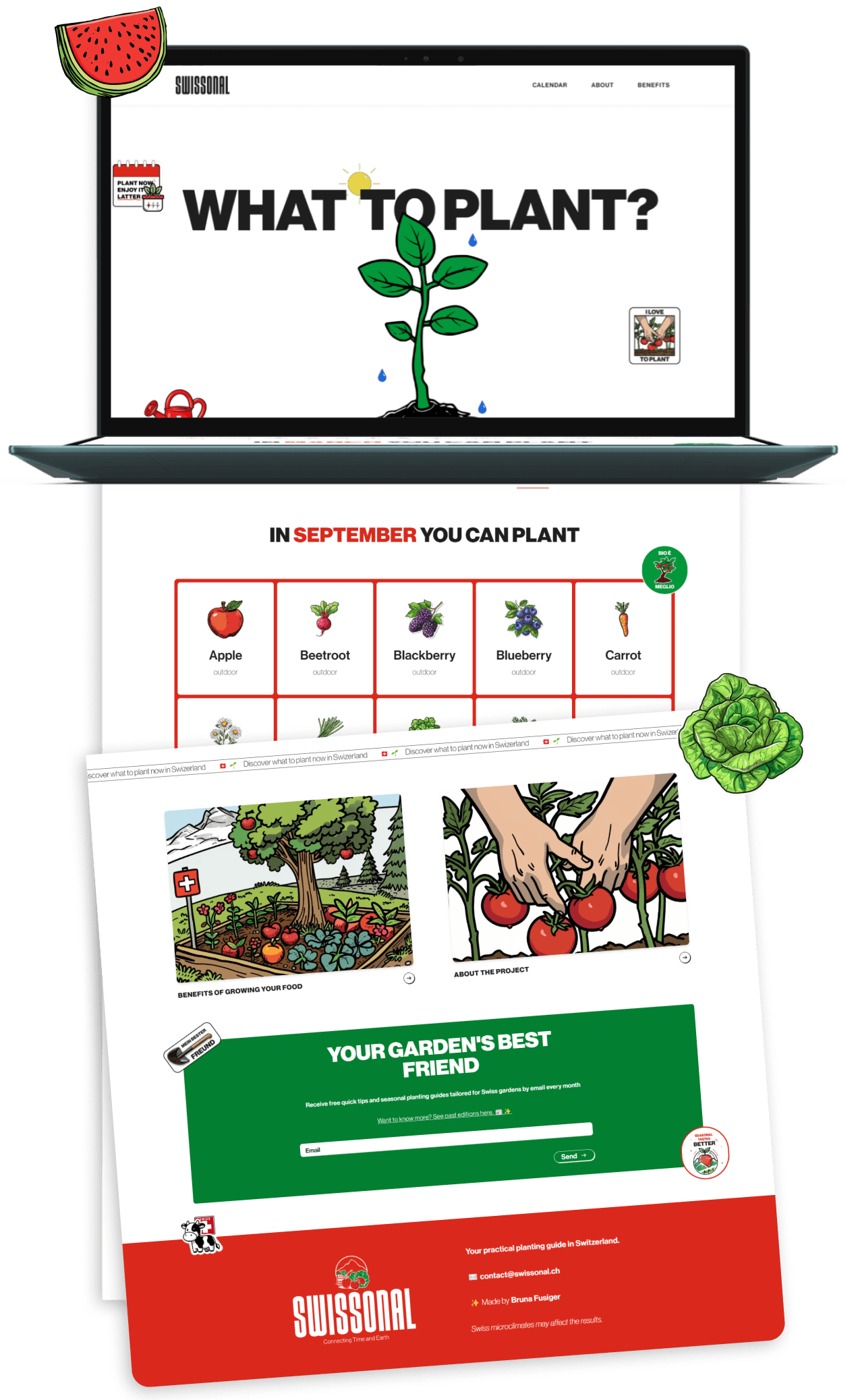 Swissonal website mockup